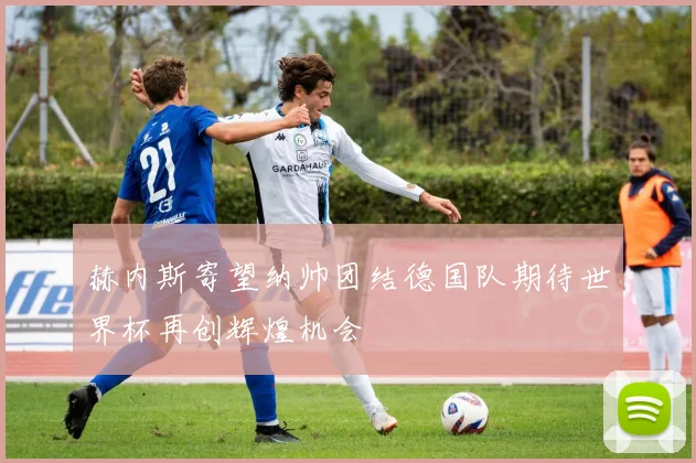 赫内斯寄望纳帅团结德国队期待世界杯再创辉煌机会